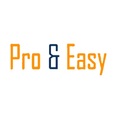 pro n easy cheque software